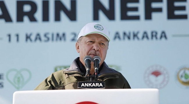 Erdoğan'dan orman yangınlarına karşı uluslararası çağrı