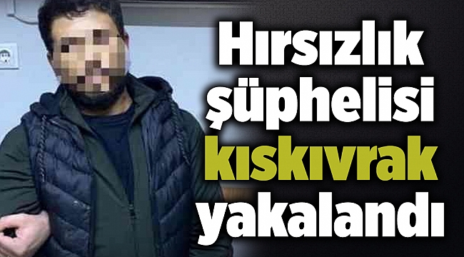 Hırsızlık şüphelisi kıskıvrak yakalandı