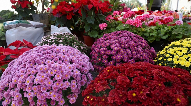 Karşıyaka ‘Sonbahar Çiçek Festivali’ ile renklendi