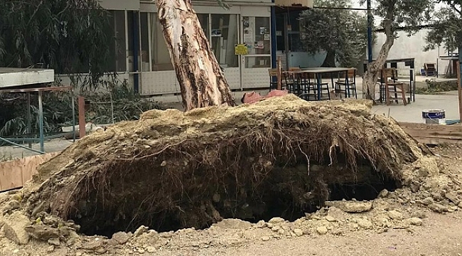 Lodostan korunmak için girdikleri binanın çatısı uçtu