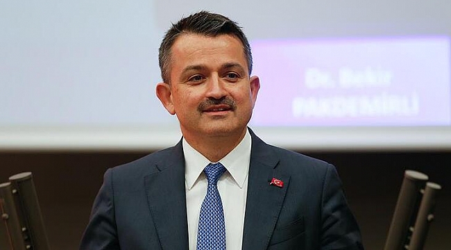 Marmara'daki balıkçılara destek ödemeleri yarın başlıyor