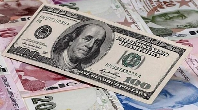 Uluslararası basın TL'nin değer kaybı için ne yazdı?