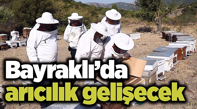 Bayraklı&#039;da arıcılık gelişecek