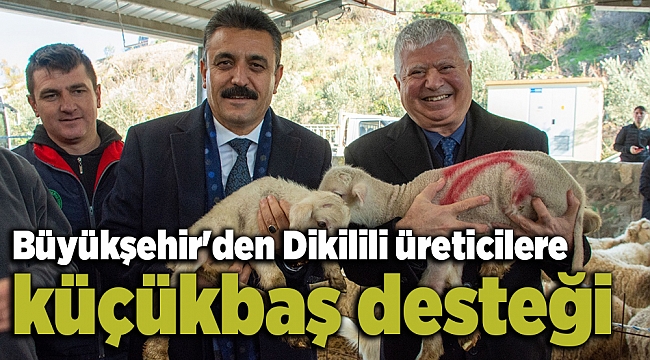 Büyükşehir'den Dikilili üreticilere küçükbaş desteği