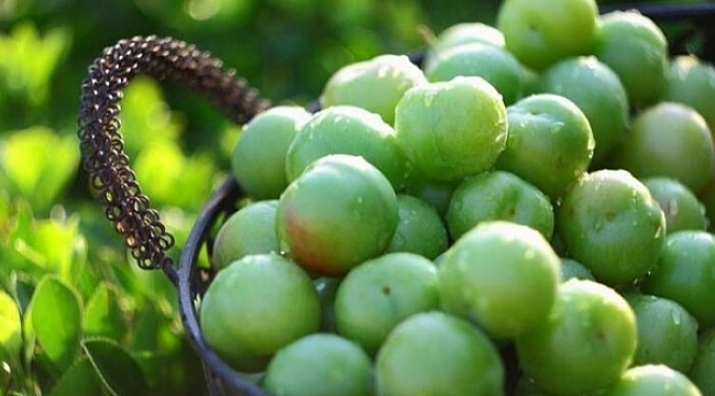 Erik 1000 liradan tezgaha indi