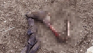 İran sınırında kan donduran olay! Parçalanmış ceset bulundu
