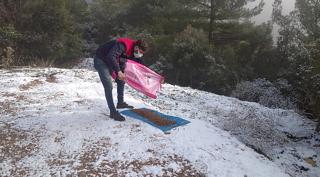 Kemalpaşa Belediyesi, can dostlarını yalnız bırakmıyor