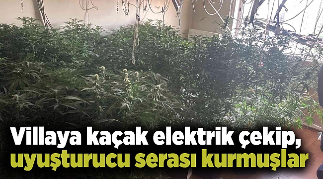 Villaya kaçak elektrik çekip, uyuşturucu serası kurmuşlar