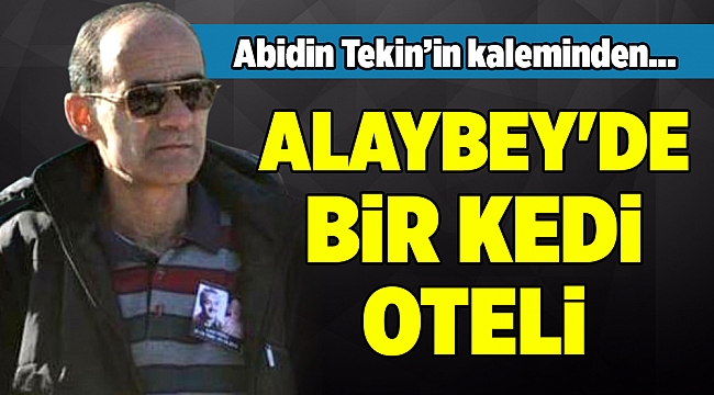 Abidin Tekin&#039;in Kaleminden...
