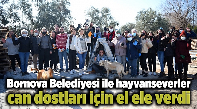 Bornova Belediyesi ile hayvanseverler can dostları için el ele verdi