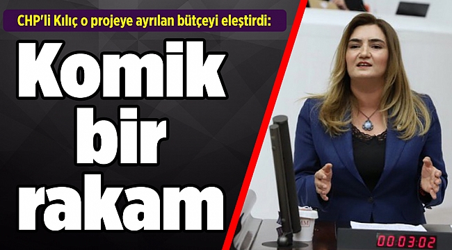 CHP'li Kılıç o projeye ayrılan bütçeyi eleştirdi: Komik bir rakam