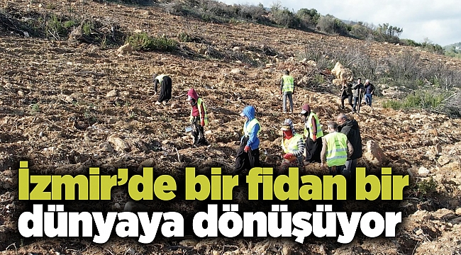 İzmir’de bir fidan bir dünyaya dönüşüyor