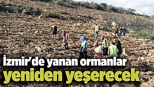 İzmir'de yanan ormanlar yeniden yeşerecek