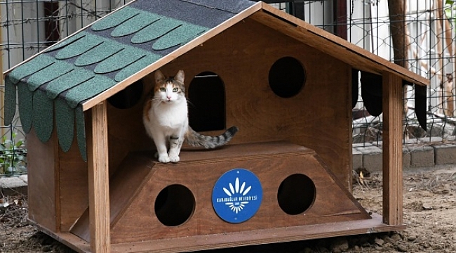 Karabağlar'da can dostlara soğuk günlerde sıcak yuva