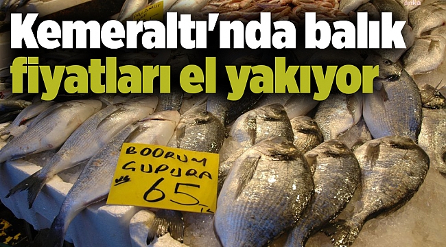 Kemeraltı'nda balık fiyatları el yakıyor