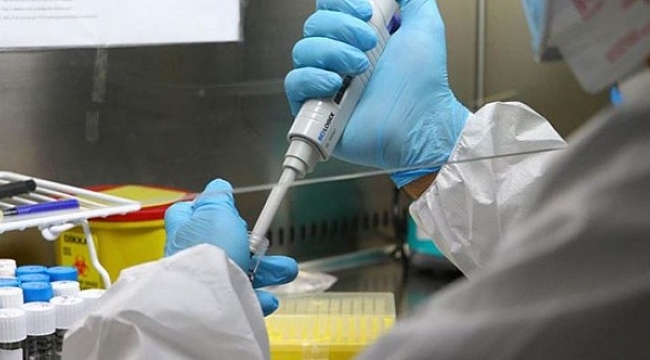 Pfizer CEO'su yeni aşı için tarih verdi