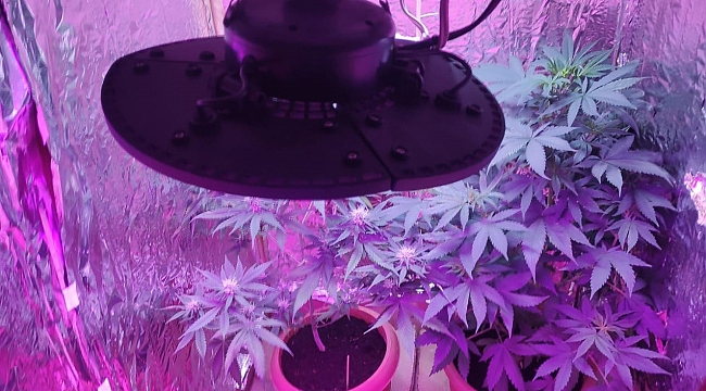 Rezidansta uyuşturucu üretim düzeneği hazırlayan şüpheliye gözaltı