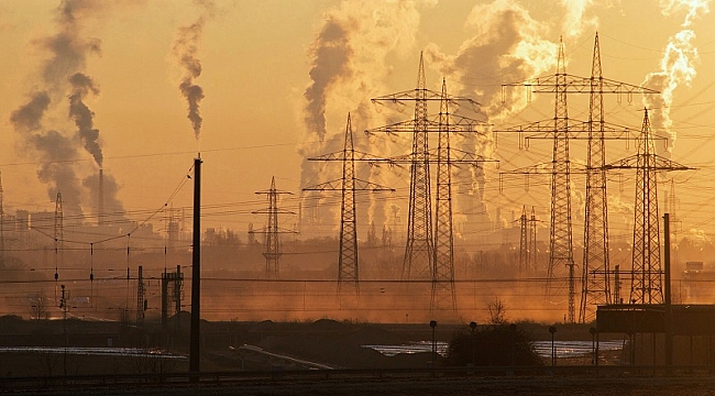 Uzmandan doğa tahribatlarına karşı dava uyarısı