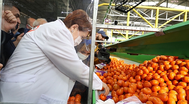 Akşener kadın işçilerle birlikte mandalina paketledi