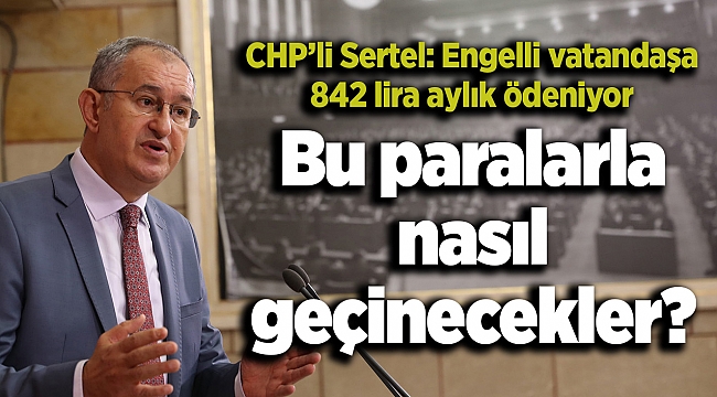 CHP’li Sertel: Engelli vatandaşa 842 lira aylık ödeniyor, bu paralarla nasıl geçinecekler?