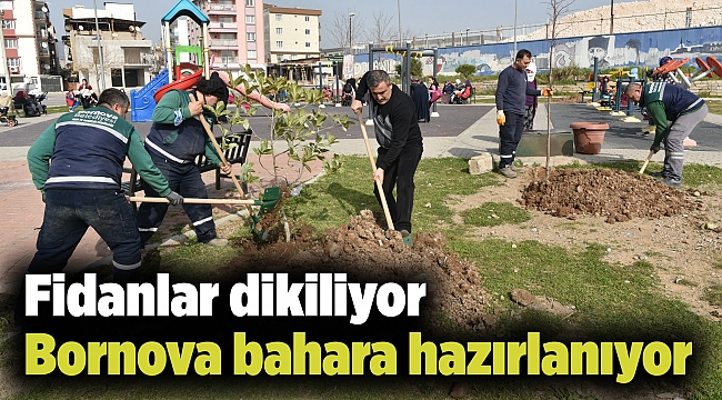 Fidanlar dikiliyor Bornova bahara hazırlanıyor