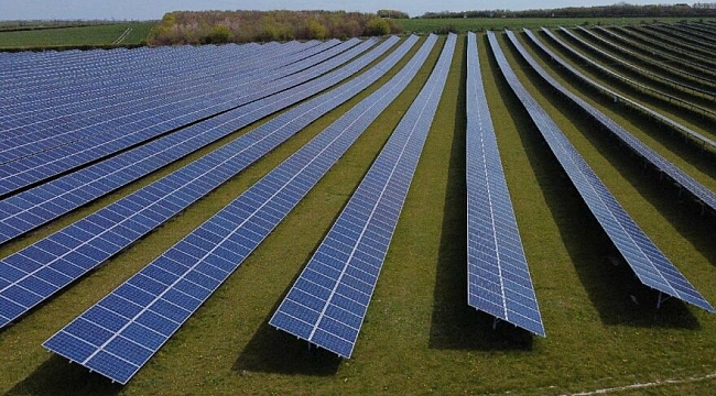Güneş panelleriyle hem enerji hem gıda üretimi