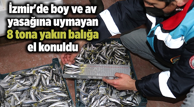 İzmir'de boy ve av yasağına uymayan 8 tona yakın balığa el konuldu