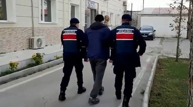 Jandarmadan terör operasyonu: 14 gözaltı