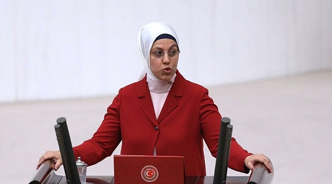 ''Kavakçıların tezleri Atatürk kiniyle dolu''