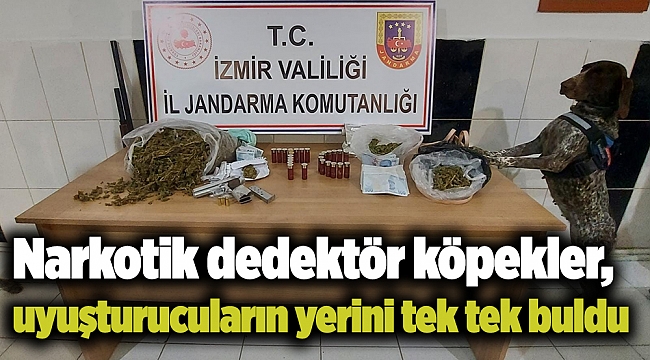 Narkotik dedektör köpekler, uyuşturucuların yerini tek tek buldu