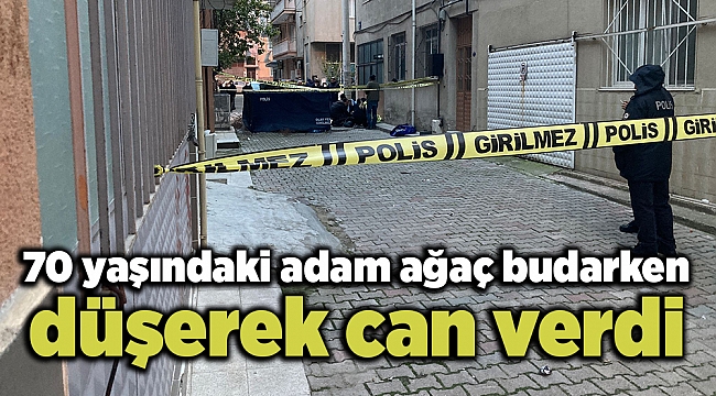 70 yaşındaki adam ağaç budarken düşerek can verdi
