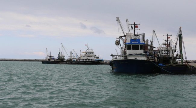 Bakanlık duyurdu: Karadeniz kıyısında balık avı yasaklandı