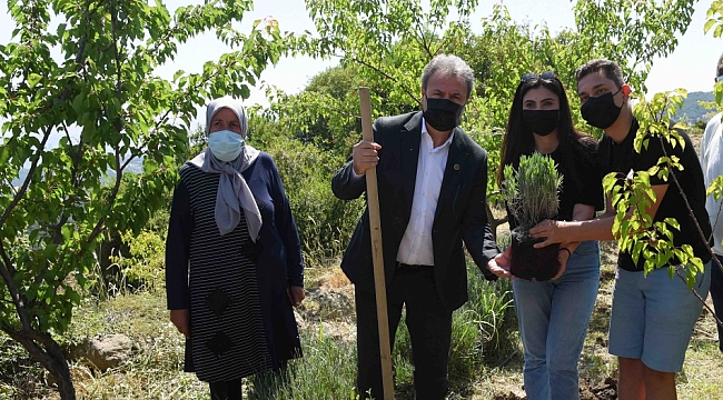 Başkan İduğ duyurdu: Ne kadar 'fav' o kadar Atalık Tohum