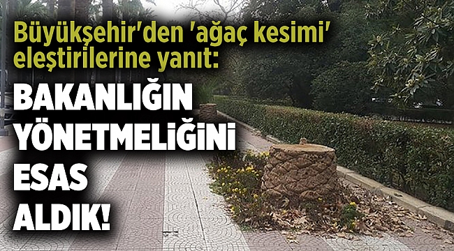 Büyükşehir'den 'ağaç kesimi' eleştirilerine yanıt