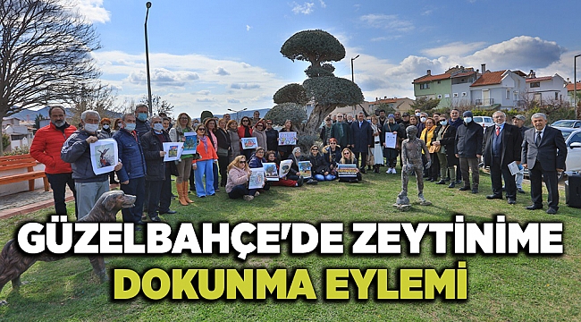 GÜZELBAHÇE'DE ZEYTİNİME DOKUNMA EYLEMİ!