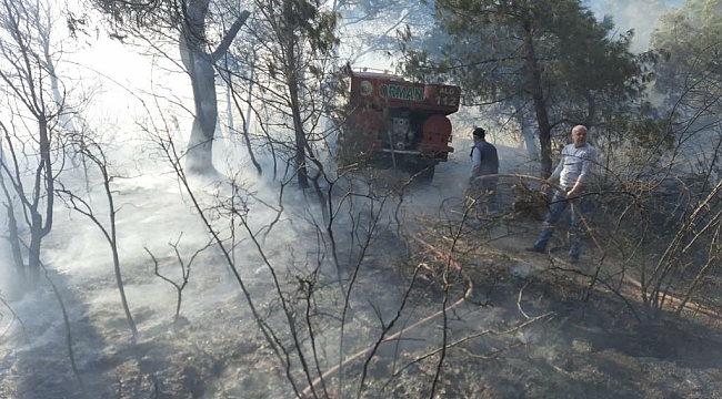 Soma'da orman yangını