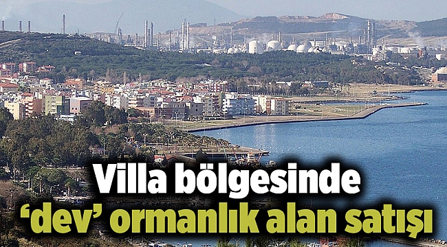 Villa bölgesinde ‘dev’ ormanlık alan satışı