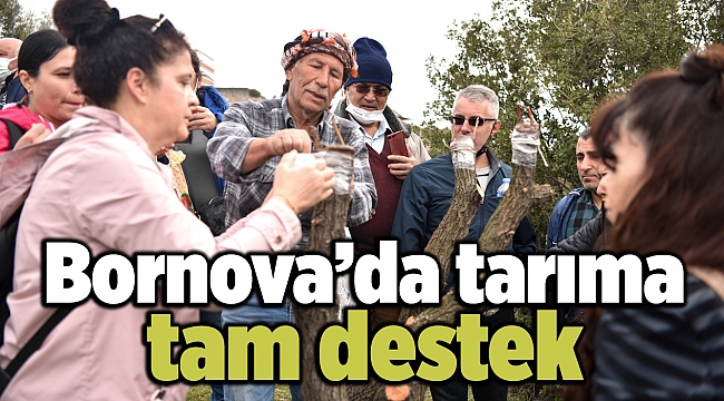 Bornova’da tarıma tam destek