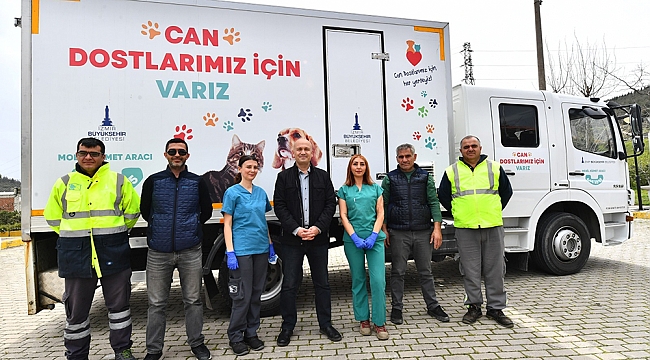 Büyükşehir'den sokak hayvanları için örnek çalışma