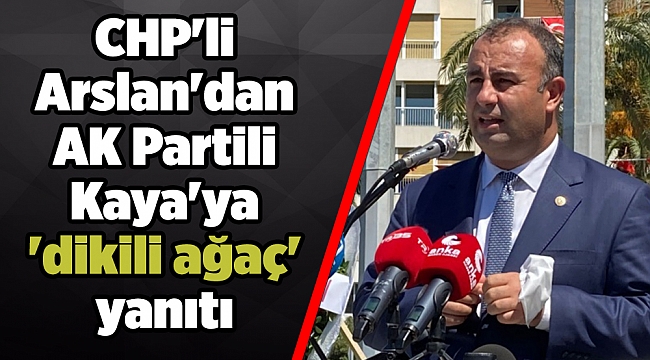 CHP'li Arslan'dan AK Partili Kaya'ya 'dikili ağaç' yanıtı