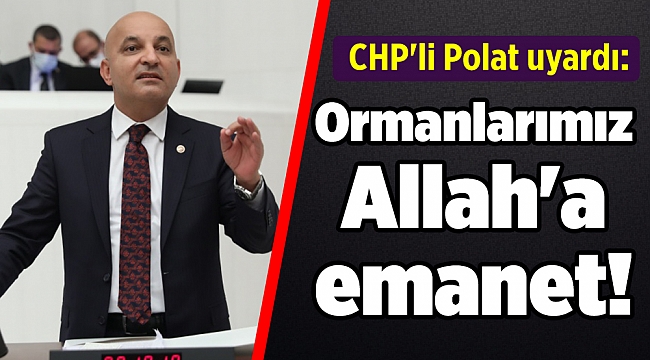 CHP'li Polat uyardı: Ormanlarımız Allah'a emanet!