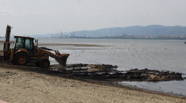 İzmit Körfezi'nde yine gübre kirliliği