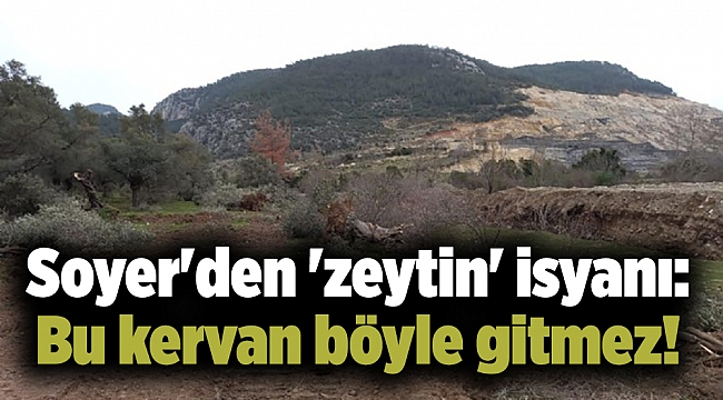 Soyer'den 'zeytin' isyanı: Bu kervan böyle gitmez!