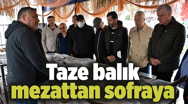 Taze balık mezattan sofraya