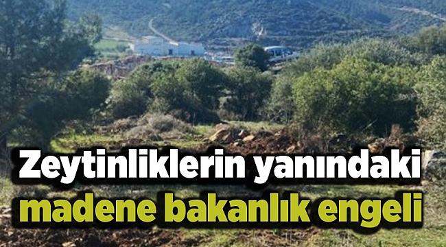 Zeytinliklerin yanındaki madene bakanlık engeli