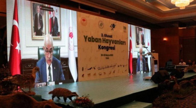 Bakan Kirişci: 1 milyon tür yok olma riski altındadır