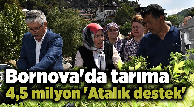 Bornova'da tarıma 4,5 milyon 'Atalık destek'