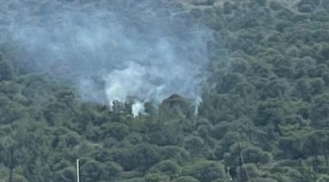 Çeşme'de yangın paniği