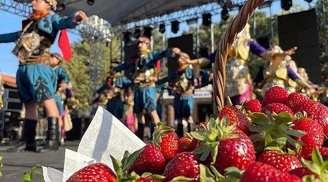 Çilek Festivali kapılarını açtı