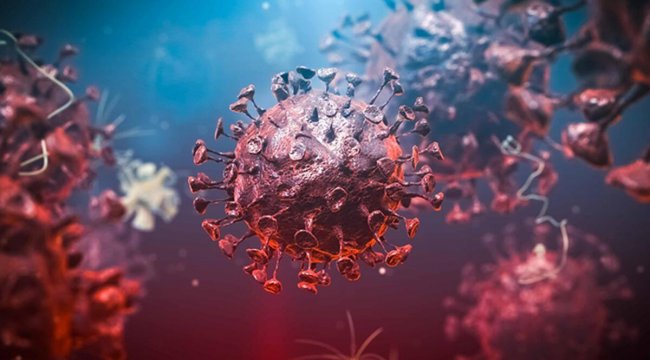 'Gizemli hepatit' yayılıyor! Peki Türkiye'de hiç vaka var mı?